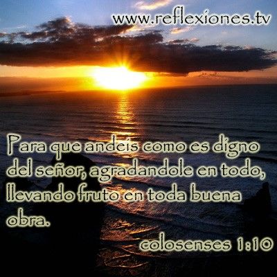 Sin Nombre